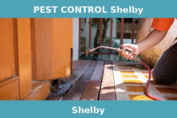 PEST CONTROL Shelby